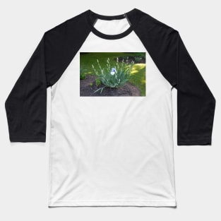 The First Bloom! Baseball T-Shirt